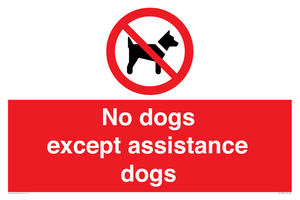 No dogs except assistance dogs